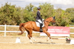 SBM_006532