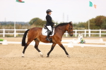 SBM_013866