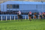 251025-Race 7-Chicker-0296