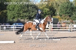BPP_8354