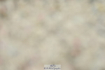 230708A-114158-01162