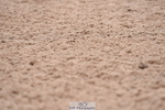230701A-102014-04315