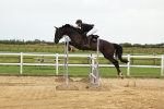 SBM_003838