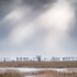 SNOW SQUALL #2, LAKE ERIE - NORFOLK COUNTY