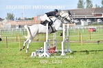 BPP_1231