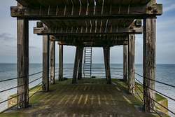 Under the Pier