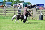 SBM_03438