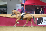SBM_23557