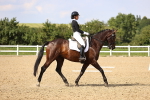 SBM_002816