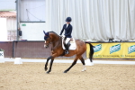 SBM_000951