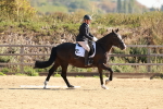 SBM_009879