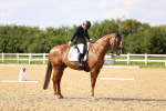 SBM_002849