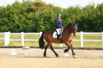 SBM_007037
