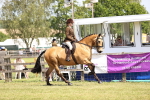 SBM_15075