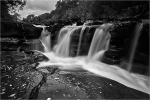 Lower Falls II