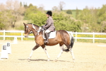 SBM_007988