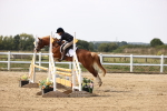 SBM_002907