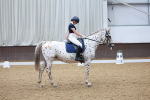 SBM_007537