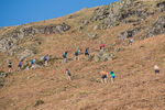 Elterwater-644