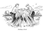 Building a stook