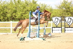 SBM_003083