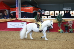 SBM_09888