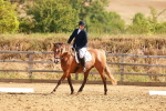SBM_000471