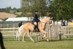 SBM_10246