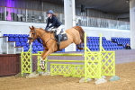 Class 4 - Senior Newcomers - 1.10m portfolio