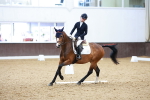 SBM_000956