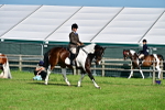 SBM_11524