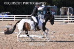 BPP_8898