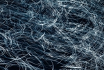 Sea Spray