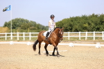 SBM_004001