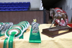 SBM_012773
