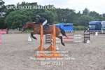 BPP_0311