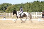 SBM_002517