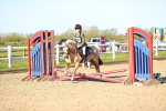 SBM_000189