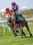 Guernsey Race Club Horse Racing 2018-9