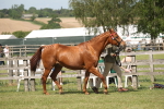 SBM_09066