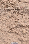 230314A-124110-01213