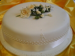 Special Occasion