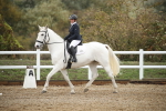 SBM_001333