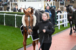 121225-Race 7-Tranquil Sea-7252