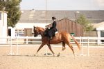 SBM_06741