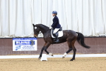 SBM_000798