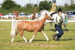 DSC05148