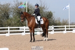 Cls 11 BD Young Horse 7YO portfolio