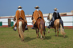 Tres Hombres
