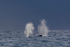 0A3A2856. Blows against a coming storm